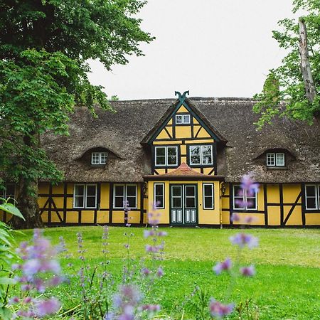 Herrenhaus Gut Dorotheenthal Damp Extérieur photo