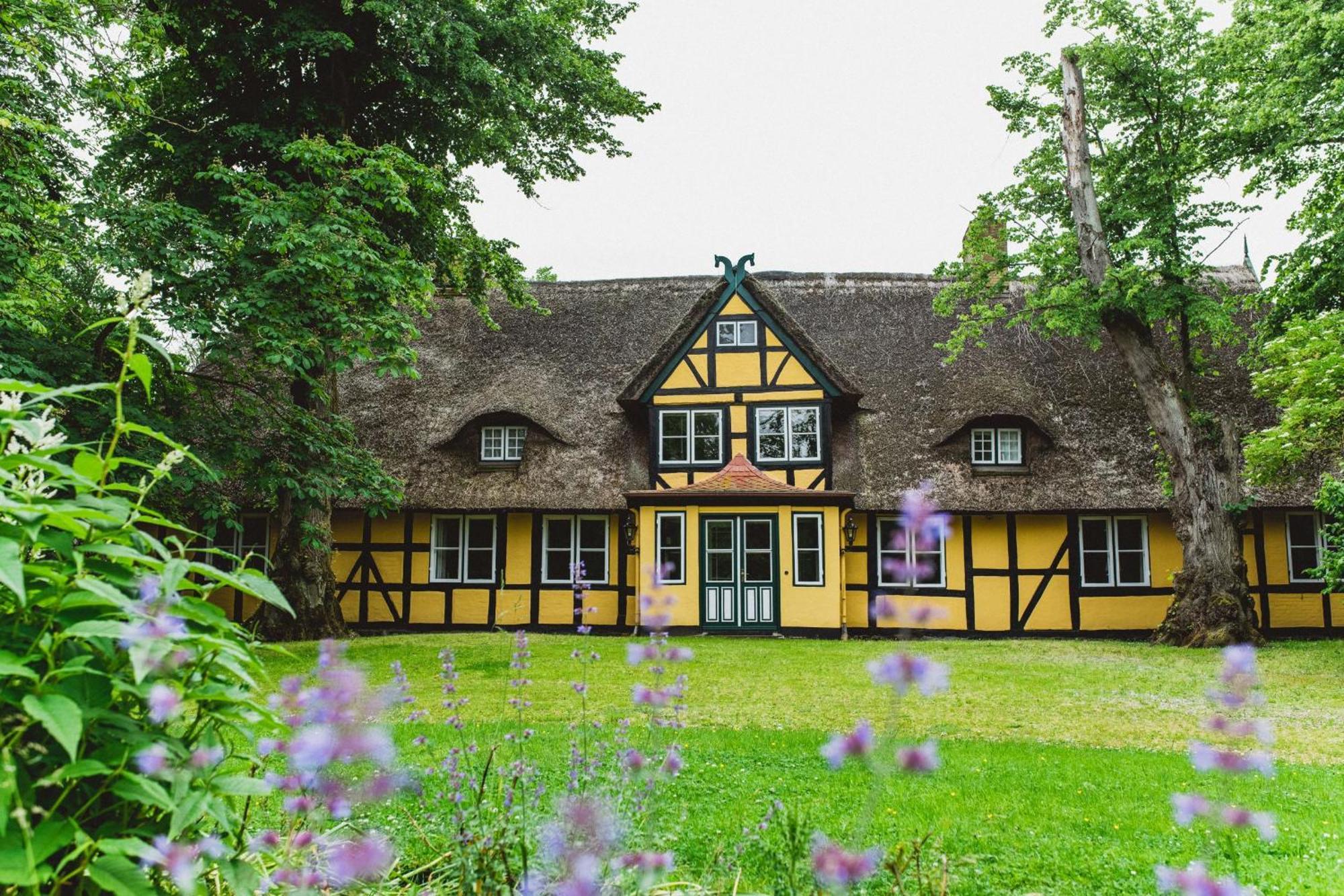 Herrenhaus Gut Dorotheenthal Damp Extérieur photo